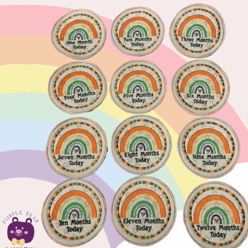 Rainbow Monthly Milestone Set