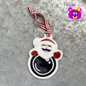 Santa Cam